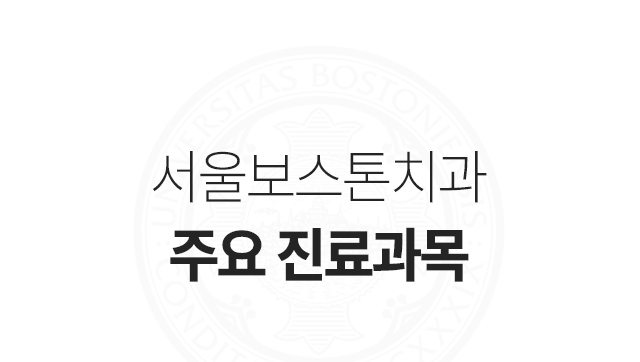 서울보스톤치과 주요 진료과목